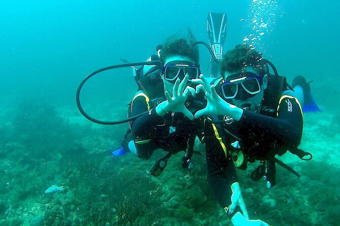 Small-Group Introductory Scuba Diving in Pula - About 30 minutes along the Istrian coast
