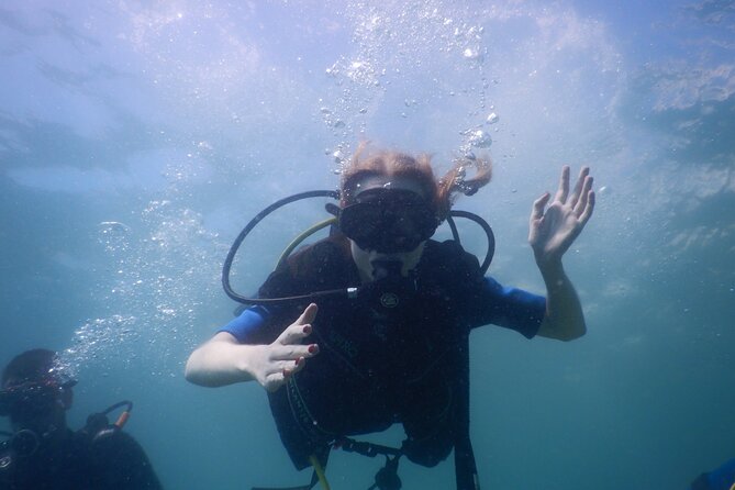 Small-Group Introductory Scuba Diving in Pula - How the experience feels for a first-timer