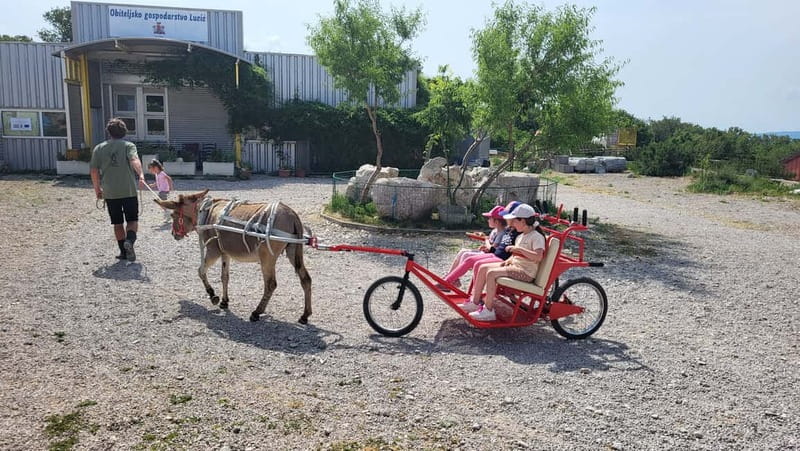 Šmrika (near Rijeka/Krk/Crikvenica) Donkey Farm Family Fun - Key points to know before you go