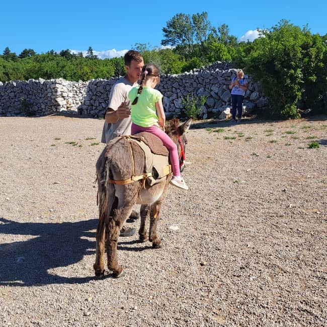 Šmrika (near Rijeka/Krk/Crikvenica) Donkey Farm Family Fun - Kvarner Bay views from a family farm