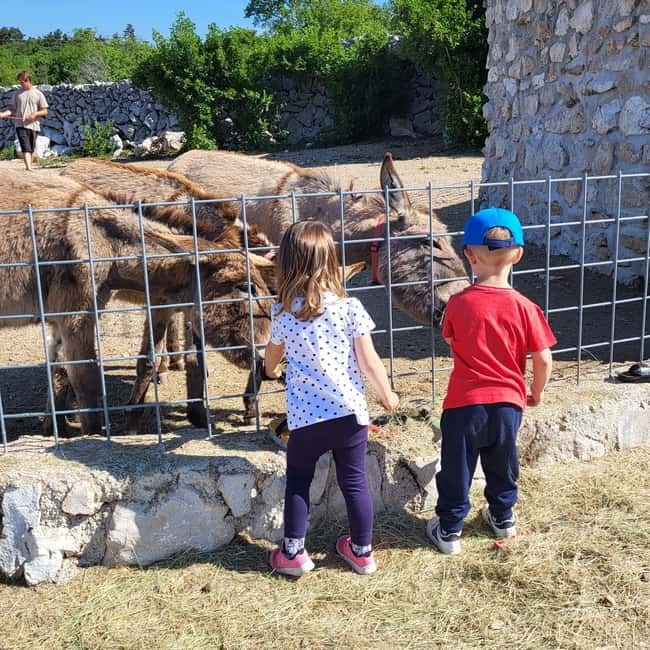 Šmrika (near Rijeka/Krk/Crikvenica) Donkey Farm Family Fun - Weather, clothing, and practical limits