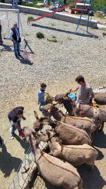 Šmrika (near Rijeka/Krk/Crikvenica) Donkey Farm Family Fun - Who should book this donkey farm visit?