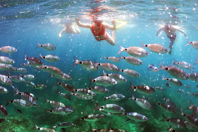 SNORKELING ADVENTURE | Pula Boat - Leaving Marina Polesana at 1 p.m.