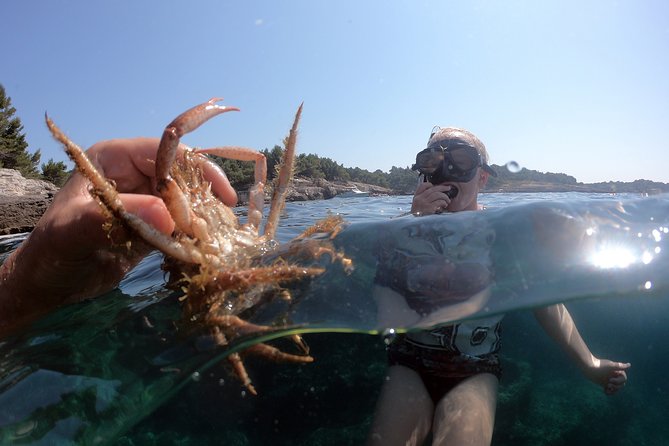 SNORKELING ADVENTURE | Pula Boat - Who will enjoy this Pula boat trip?