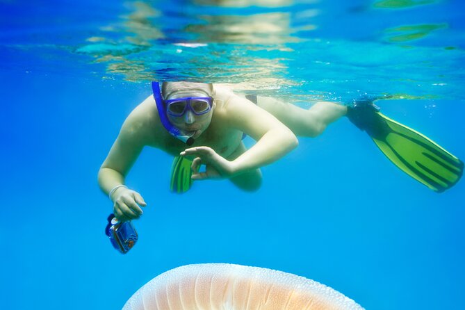 Snorkeling tour Makarska Riviera, islands of Hvar or Brač - Who will enjoy this boat trip most?