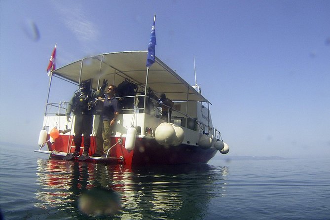 Snorkeling tour Makarska Riviera, islands of Hvar or Brač - Choosing between Hvar, Brač, and the Makarska Riviera