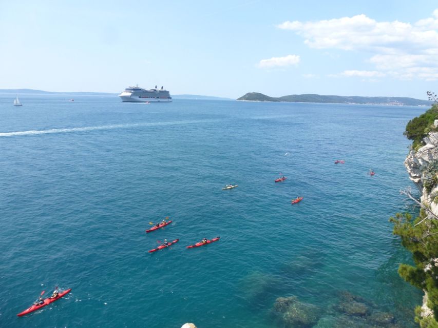 Split 4-Hour Guided Sea Kayak Tour - Is $59 a good value?