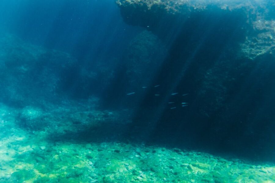 Split: 45-minute Semi-Submersible Submarine Trip - Choosing a daytime or night ride