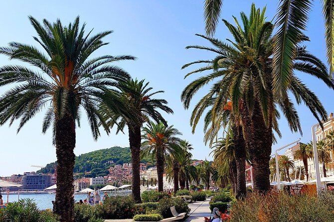 Split and Ston private tour or transfer - Planning the day around the schedule