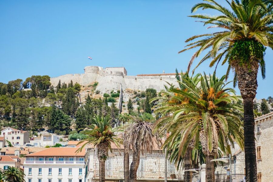 Split: Blue Cave, Vis & Hvar Full-Day Trip by Speedboat - Budikovac and the Blue Lagoon