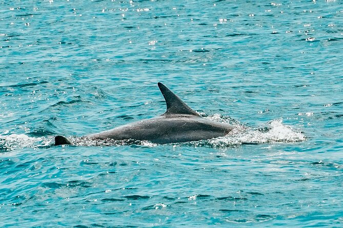Split: Blue Lagoon & 3 Island Cruise with Wine & Snorkeling - Why this Split boat tour works well