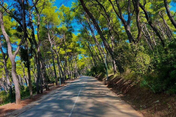 Split by Private Electric Rickshaw - Palace & Hidden Gems - Guides, pace, and the feel of the ride