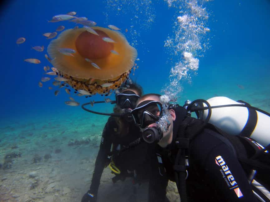 Split-Makarska-Brela Try SCUBA Dive - What makes this Brela scuba session different