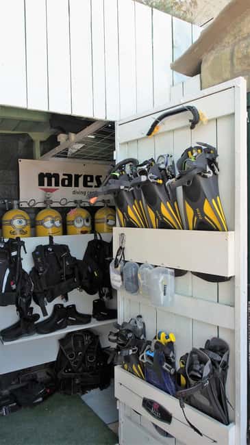 Split-Makarska-Brela Try SCUBA Dive - Should you book this Brela scuba experience?