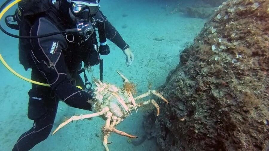 Split-Makarska-Brela Try SCUBA Dive - Small details that make the day easier