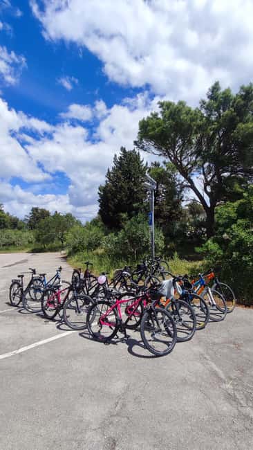 Split: Old Town and Marjan Park Bike Tour - The climb into Marjan Forest Park