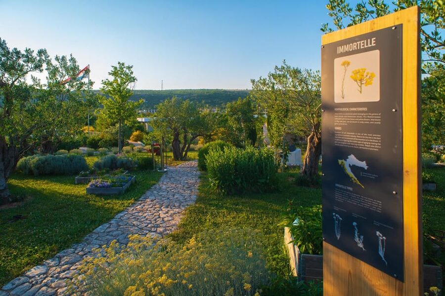 Split: Olive museum Klis with Olive Oil Tasting - Why the olive oil lesson is the main event