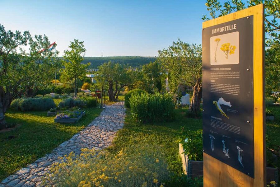 Split: Olive museum Klis with Olive Oil Tasting - Starting inside the Stella Croatica estate