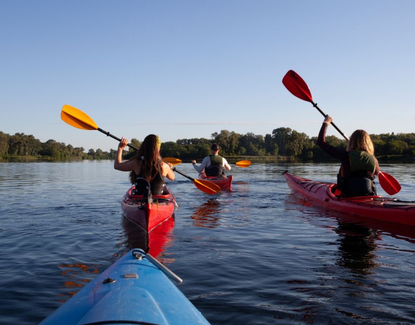 Split/Omiš - Guided Kayaking & Snorkeling Tour Cetina River - Swimming, sunbathing, and the shipwreck stop
