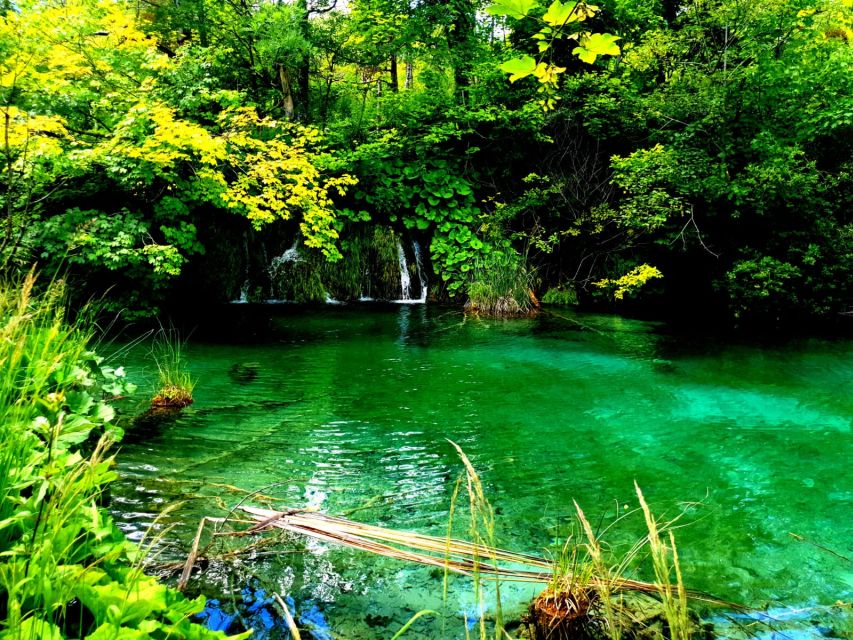 Split: Plitvice Lakes Guided Day Tour with Entry Tickets - What the $116 price includes