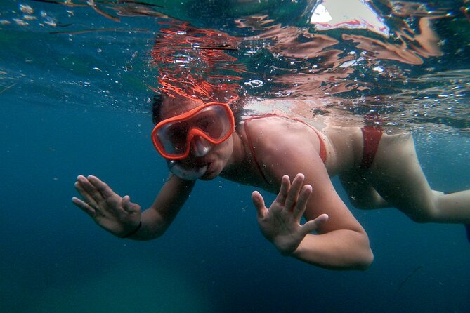 Split Sea Kayaking & Snorkeling Tour - Morning or afternoon?