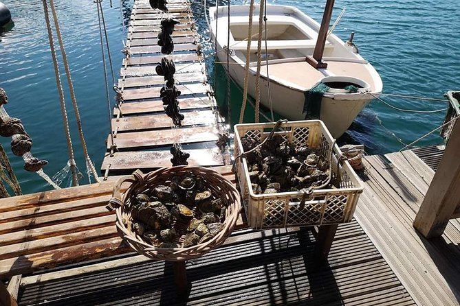 Ston Gastro Tour - Who will enjoy this Ston outing most?