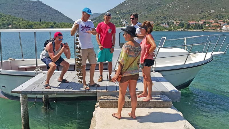 Ston Oyster & Wine Tasting Private Tour From Dubrovnik - The Ston oyster farm by small boat