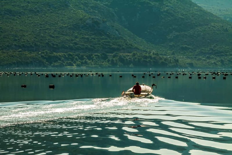 Ston Oyster & Wine Tasting Private Tour From Dubrovnik - Leaving Dubrovnik by comfortable private van