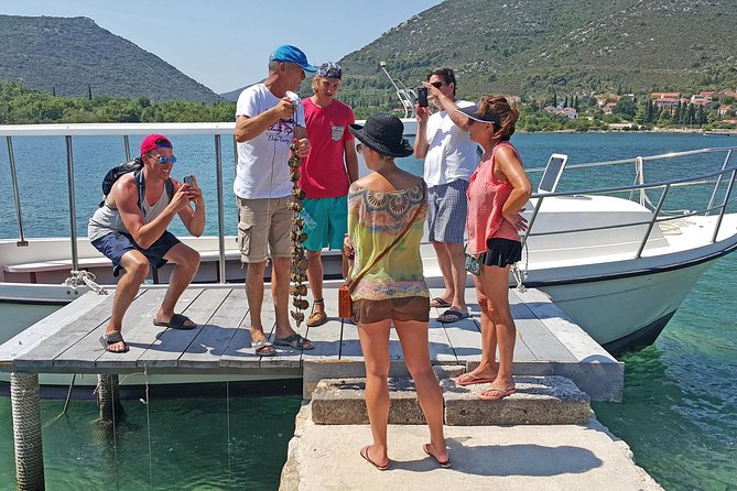 Ston Oysters & Wine Tasting Tour from Dubrovnik - Key points to know