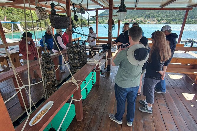 Ston Oysters & Wine Tasting Tour from Dubrovnik - What the private format changes