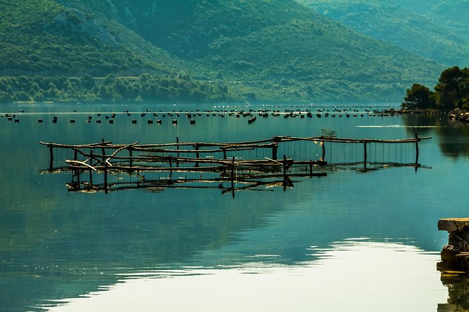 Ston Oysters & Wine Tasting Tour from Dubrovnik - What the tour really costs