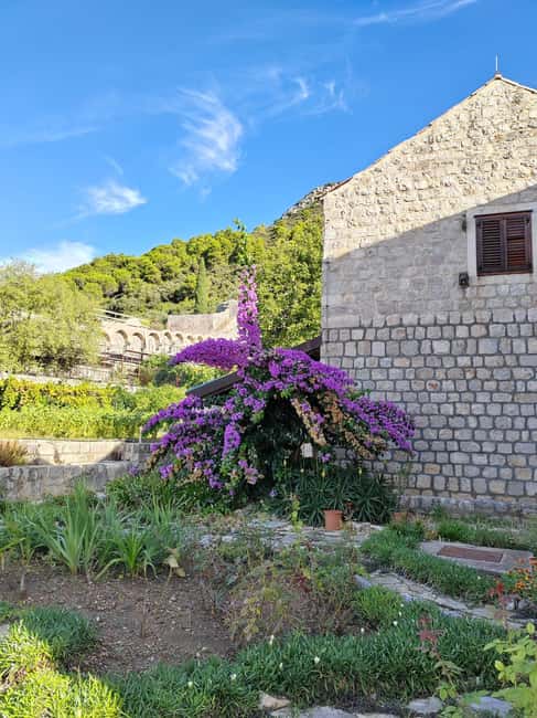 Ston private walking tour with the walls and saltworks visit - Who will enjoy this Ston experience most