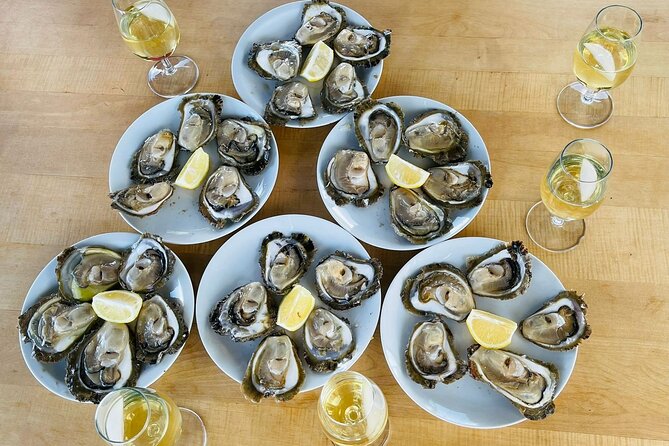 Ston Seafood & Pelješa Wine Boat Tour with Oysters and Mussels - From Dubrovnik to Hodilje by road and water