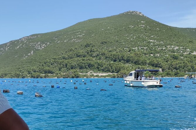 Ston Seafood & Pelješa Wine Boat Tour with Oysters and Mussels - Ston walls, salt lakes, and a short break
