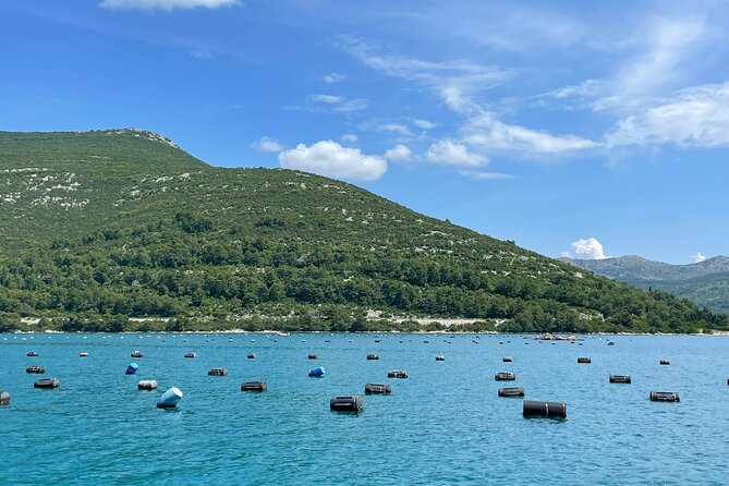 Ston Seafood & Pelješa Wine Boat Tour with Oysters and Mussels - Is $180.72 a fair price?