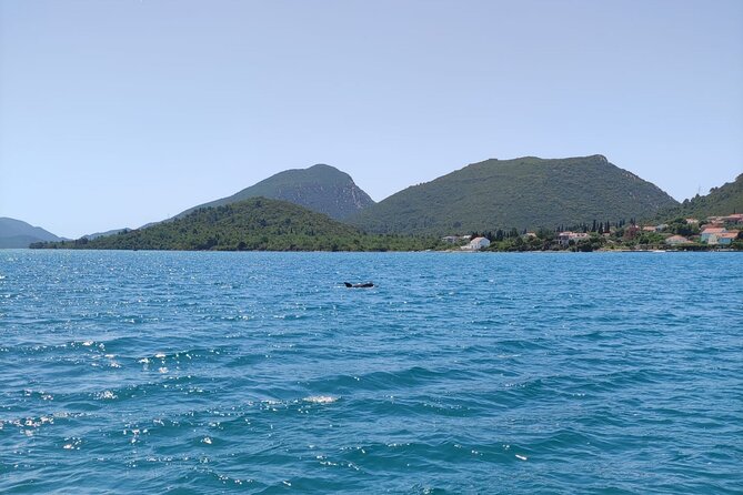 Ston Seafood & Pelješa Wine Boat Tour with Oysters and Mussels - Who will enjoy this Pelješac day most?