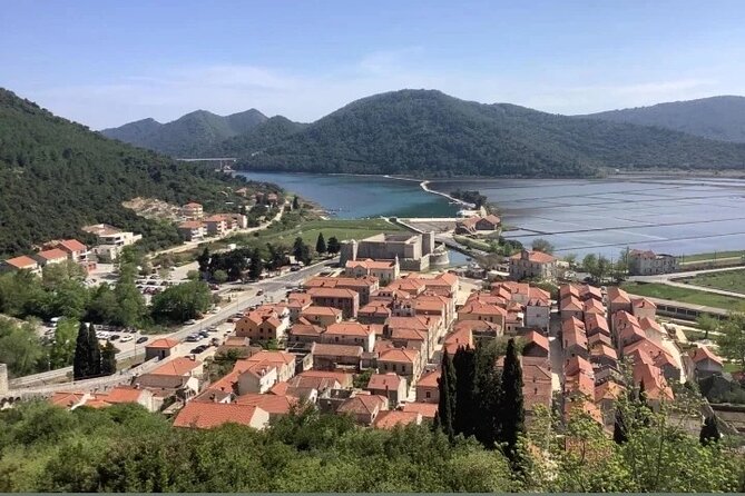 Ston Tour: City Walls, Saltworks, Wine & Adriatic Seafood - Choosing between oysters, a seafood meal, or both