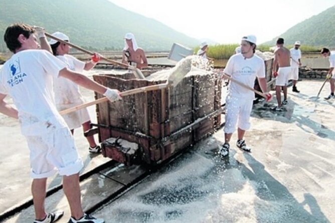 Ston Tour: City Walls, Saltworks, Wine & Adriatic Seafood - What the private vehicle and guide add