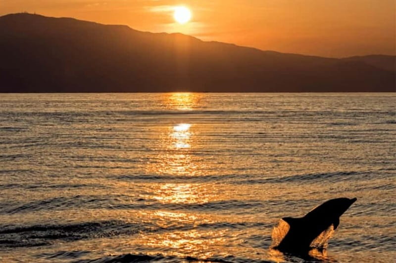 Sunset Dolphin Cruise with Dinner – Medulin Archipelago - Leaving Medulin for the island chain