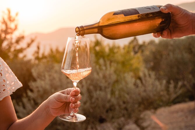 Sunset wine tasting in vineyard - A vineyard above Dubrovnik, not a formal tasting room