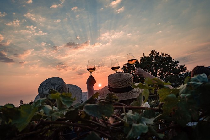 Sunset wine tasting in vineyard - Who will enjoy this evening most?
