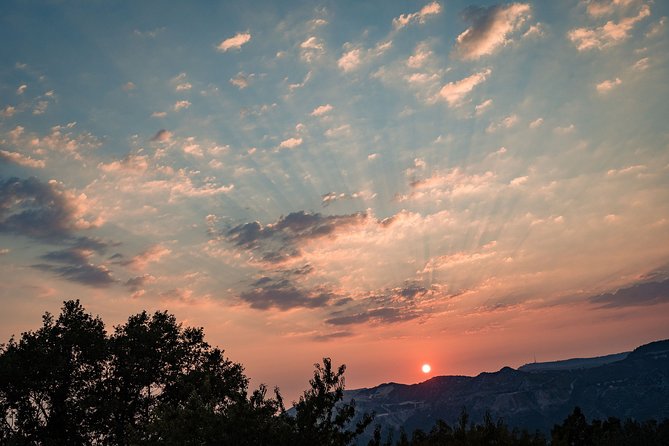 Sunset wine tasting in vineyard - Practical tips for a smoother visit