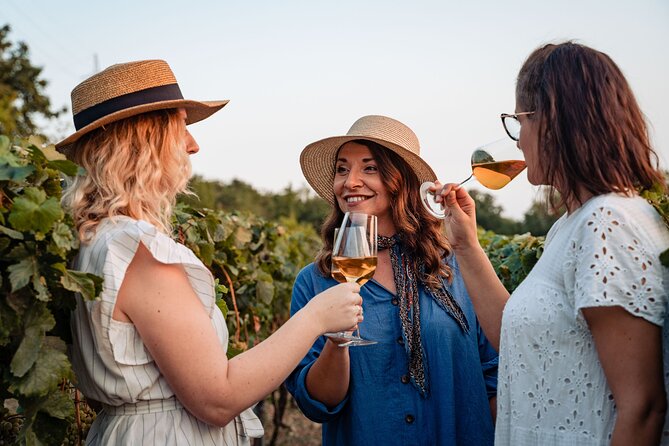 Sunset wine tasting in vineyard - Tasting wine, oil, bread, and homemade treats