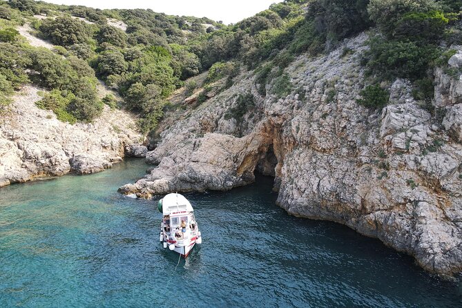 Swimming and Snorkeling on the Wild Bays 3.5 Hours (PUBLIC) - Captain Bobo and the small-group feel
