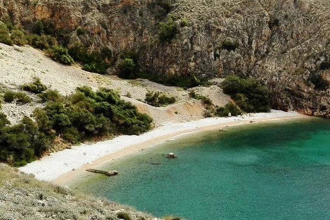 Swimming and Snorkeling on the Wild Bays 3.5 Hours (PUBLIC) - Dolphins, birthday trips, and other possible surprises