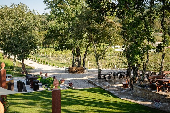 Taste of Istria - wine, brandy, vinegar, local food - Three vinegars, three wines, and three fingerfoods