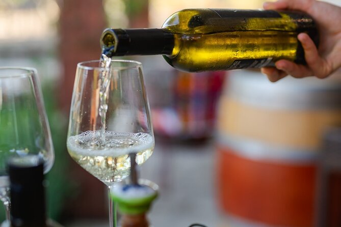 Taste of Istria - wine, brandy, vinegar, local food - A small group with room for conversation