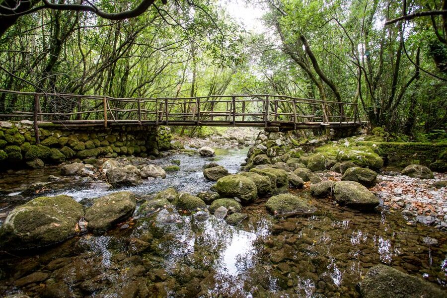 Taste & Tradition of Dubrovnik Countryside - Why Konavle Valley makes a good break from Dubrovnik