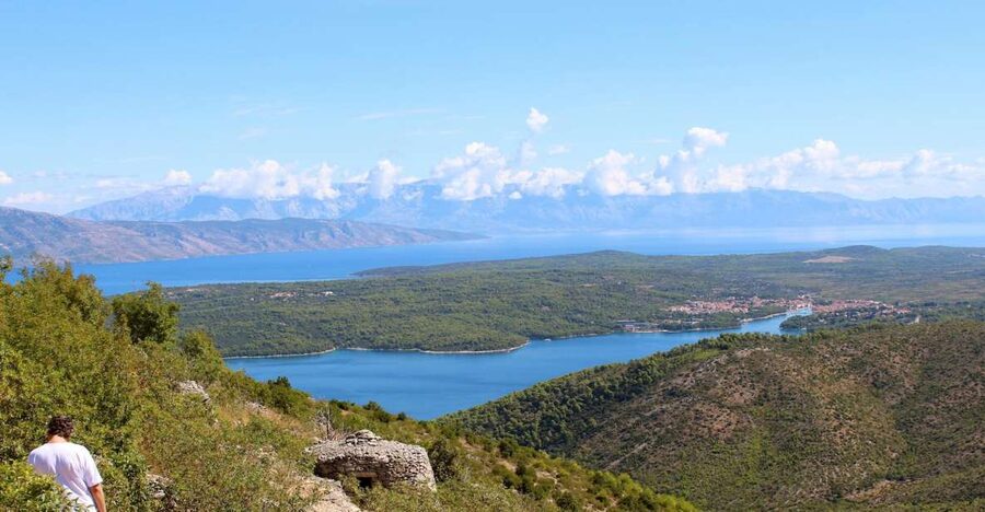 The Best of Hvar in a Day with Wine tasting and Local Dinner - Why this tour is a smart way to see Hvar