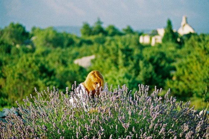 The Best of Hvar Small Group with Wine Tasting and Local meal - Is $337.15 a good value?